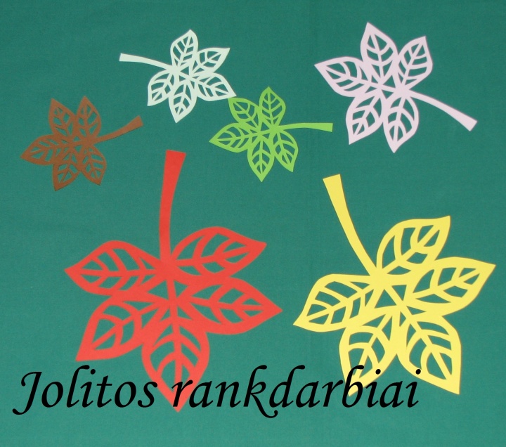 Leaves