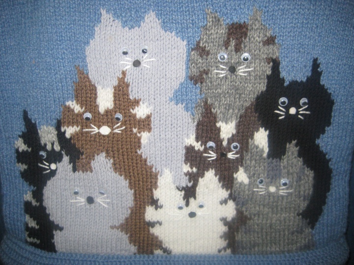 Knitted handbag " katinukas "