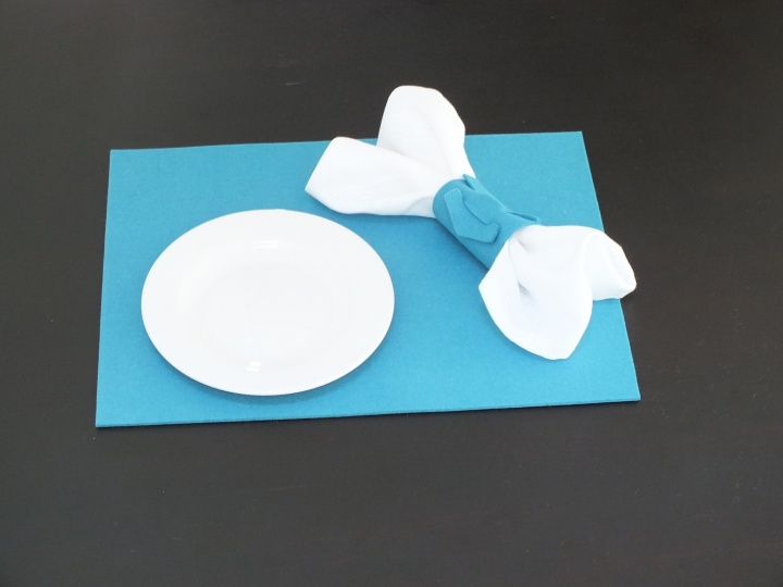 Ring tray and wipes picture no. 3