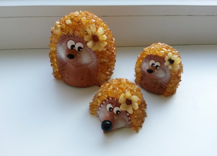 Hedgehog family