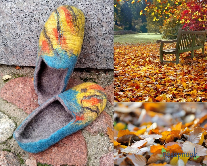 Felt slippers autumn