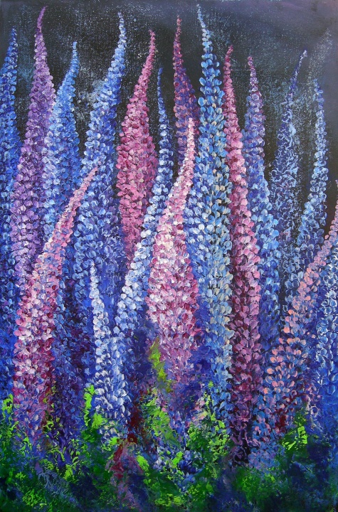 Lupines 36*60
