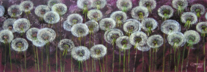 Dandelion fluff