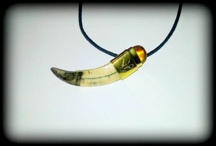 Pendant of boar tusk and amber