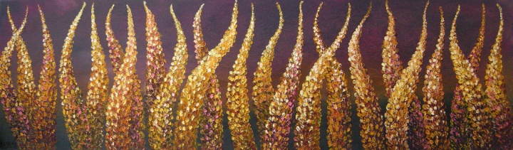 Auksiniai lubinai 30x100
