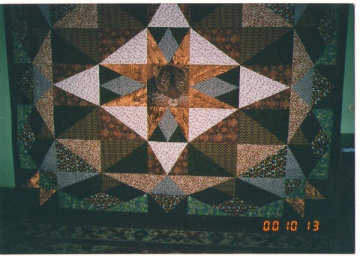 Patchwork for home  " Bed cover tiger"