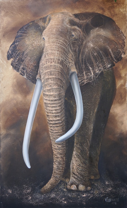 African elephant 60x90