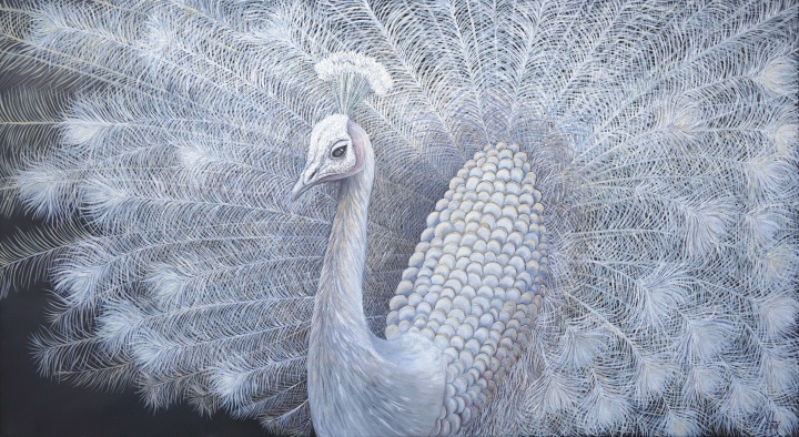 The Royal Peacock