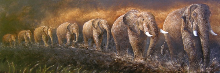 Brown elephants