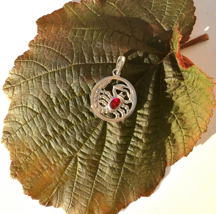 Silver Pendant Scorpion with Ruby picture no. 3