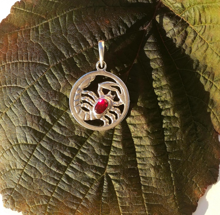 Silver Pendant Scorpion with Ruby picture no. 2