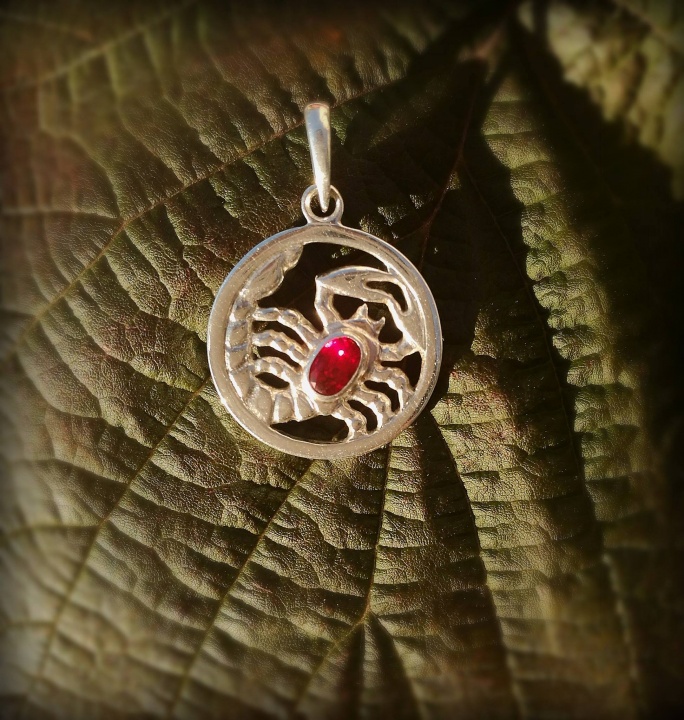 Silver Pendant Scorpion with Ruby