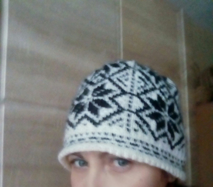 snaiges