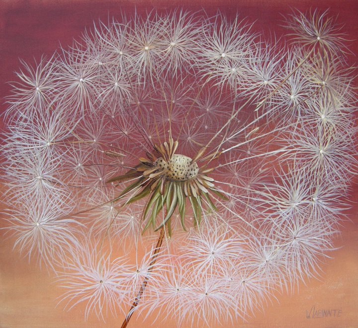 Dream fluff 50x45