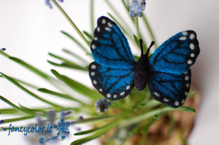 Veltas drugelis "Morpho"