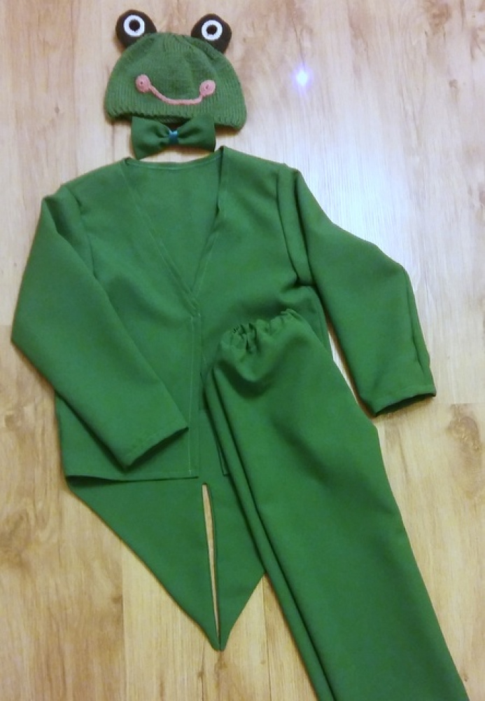 Frogs carnival costume picture no. 2