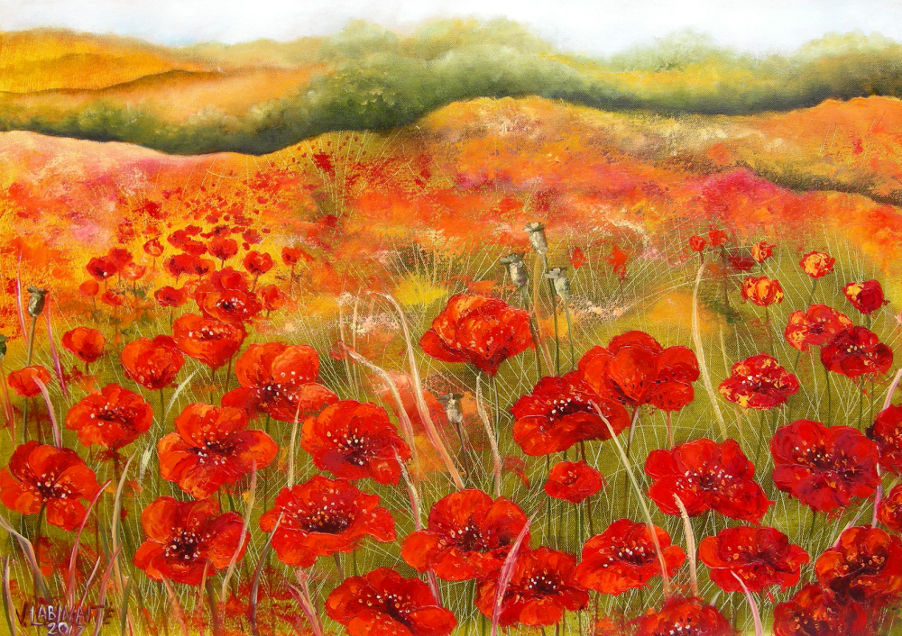 poppy field 70x50, oil on canvas.