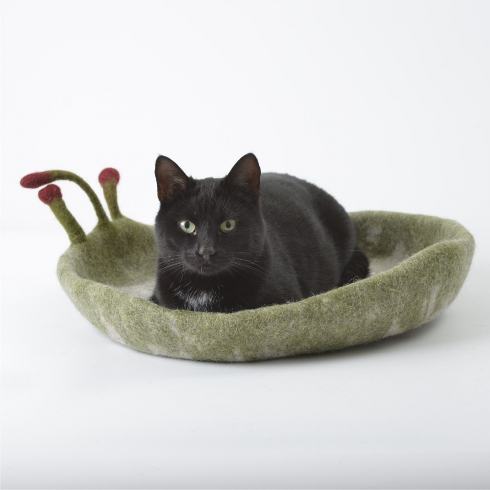 Guolis jūsų augintiniui/bed for pet