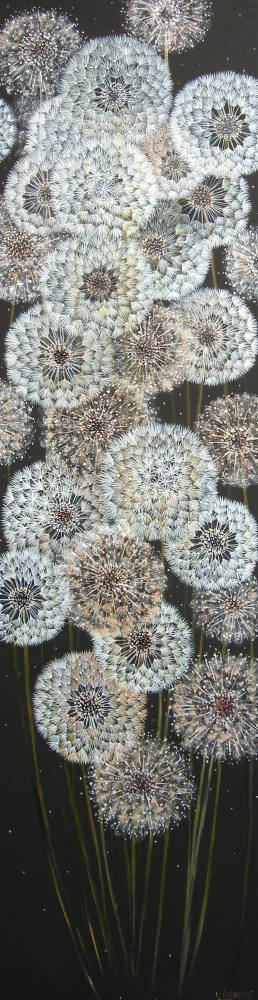 200 eur_Pūkų kerai 35x130