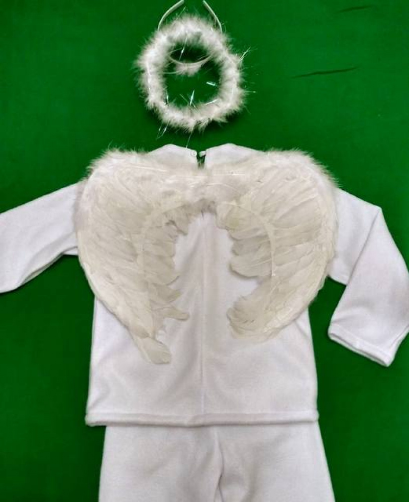 Angel Carnival Costume picture no. 3