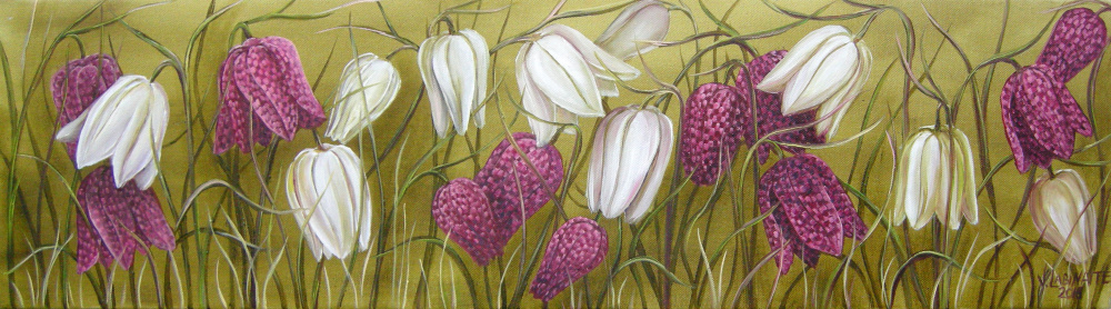 Šachmatinės margutės 20x70