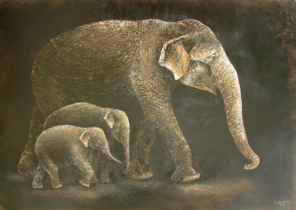 Drambliai 110x80
