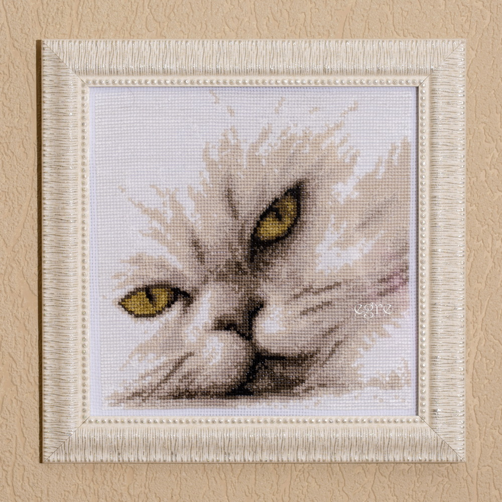 Persian cat_crossed embroidery