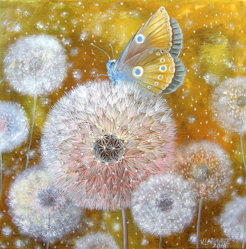 Drugelis 35x35