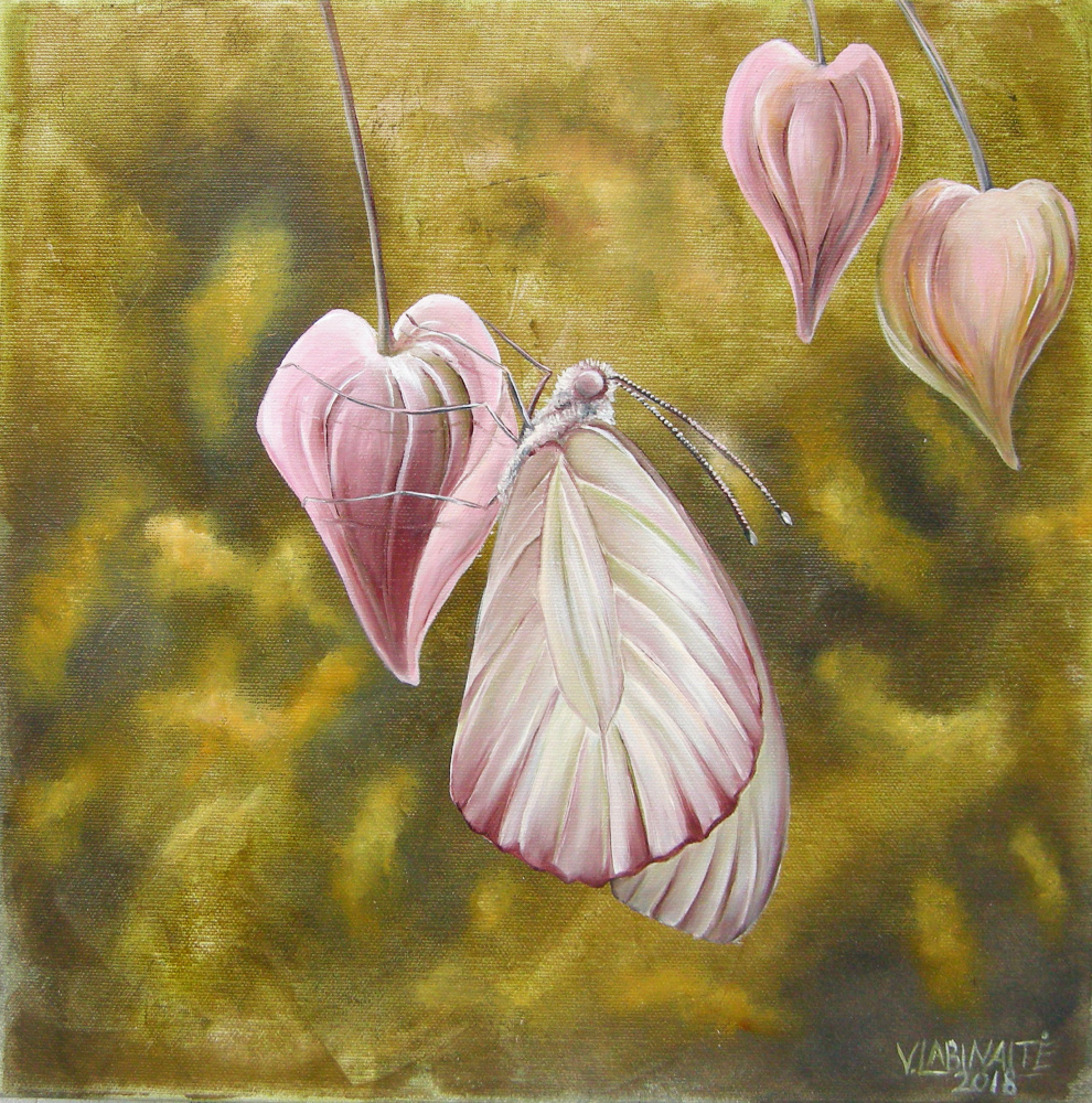 Drugelis II 35x35