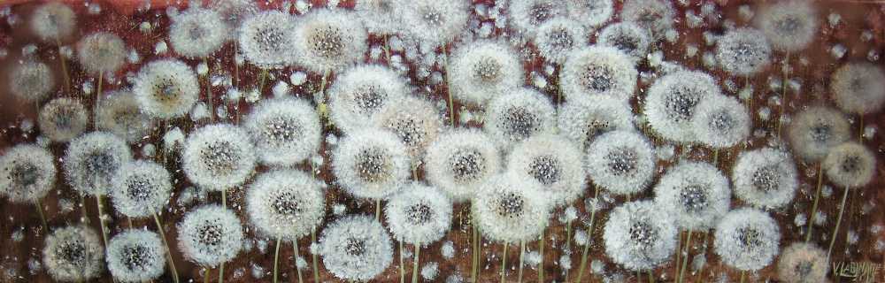 Pūkučiai 90x30