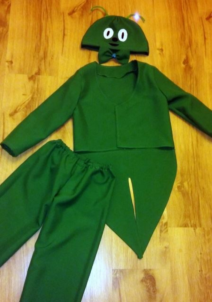 Grasshopper, beetles carnival costume for kids