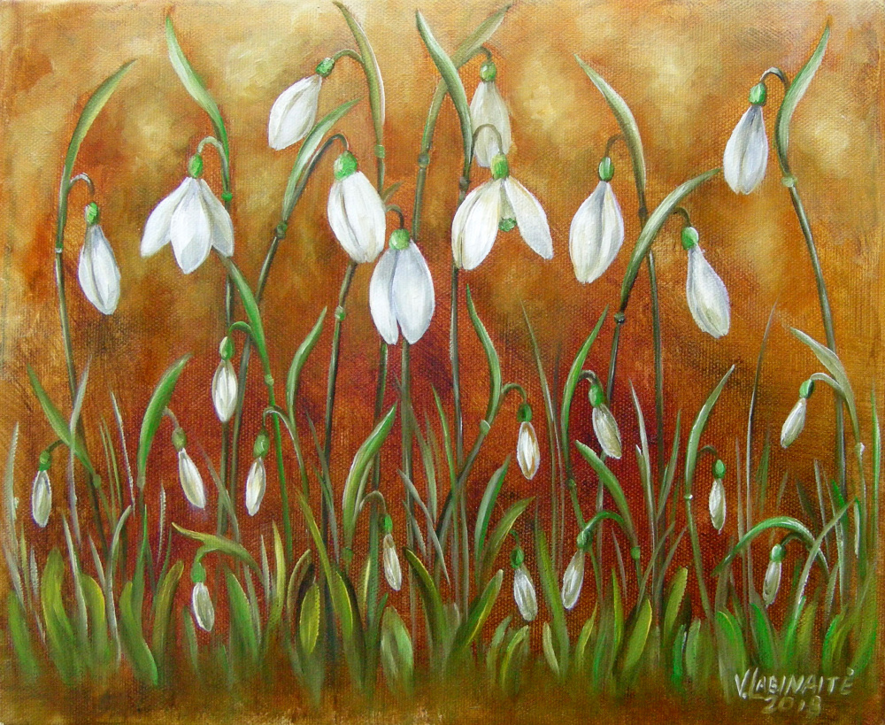 Snieguolės 30x25