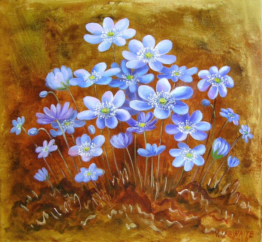 Žibuoklės 30x28