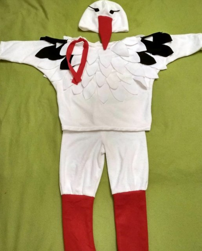 Stork Carnival Costume for kids picture no. 2