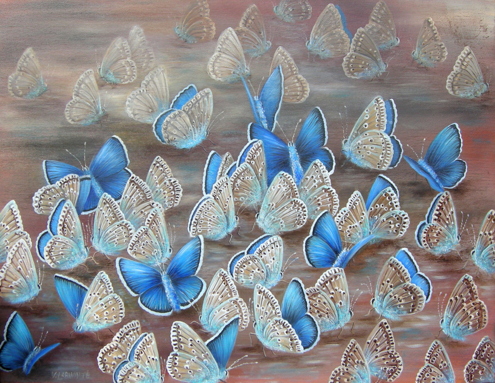 Drugelių plazdėjimas 60x50