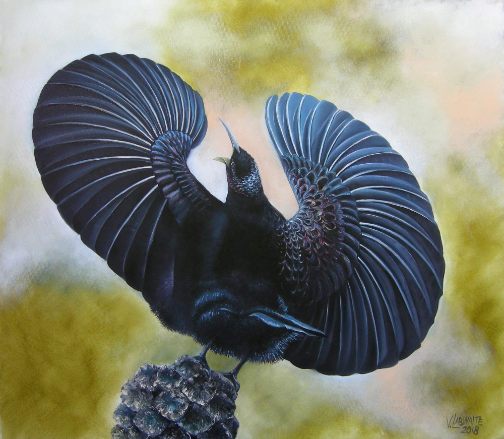 Viktorijos rojaus paukstis 68x59