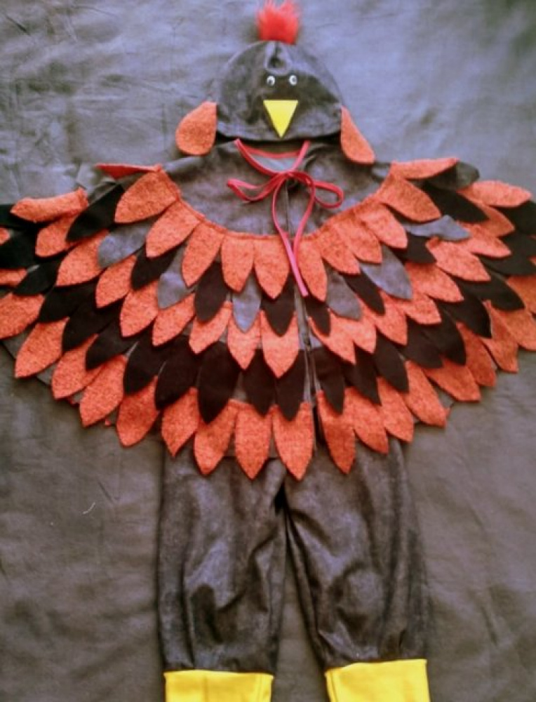 Rooster, chicken suit picture no. 2