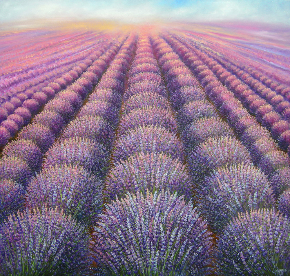 Levandų laukai 83x75, al.drobe