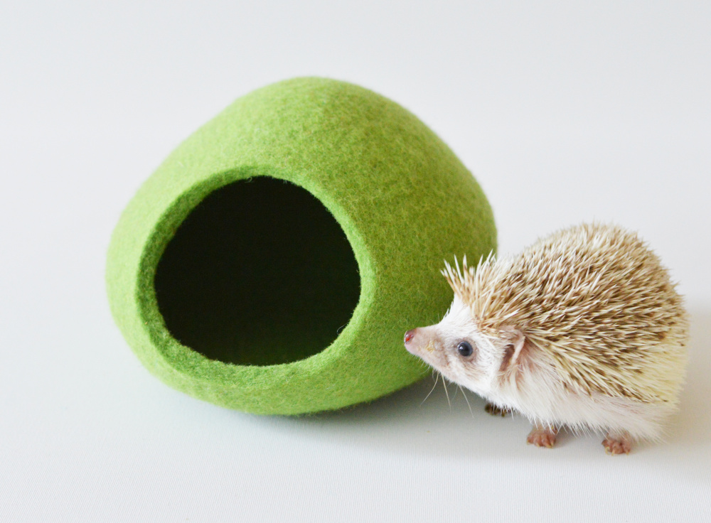 Hedgehog bed made of Tyrolean wool