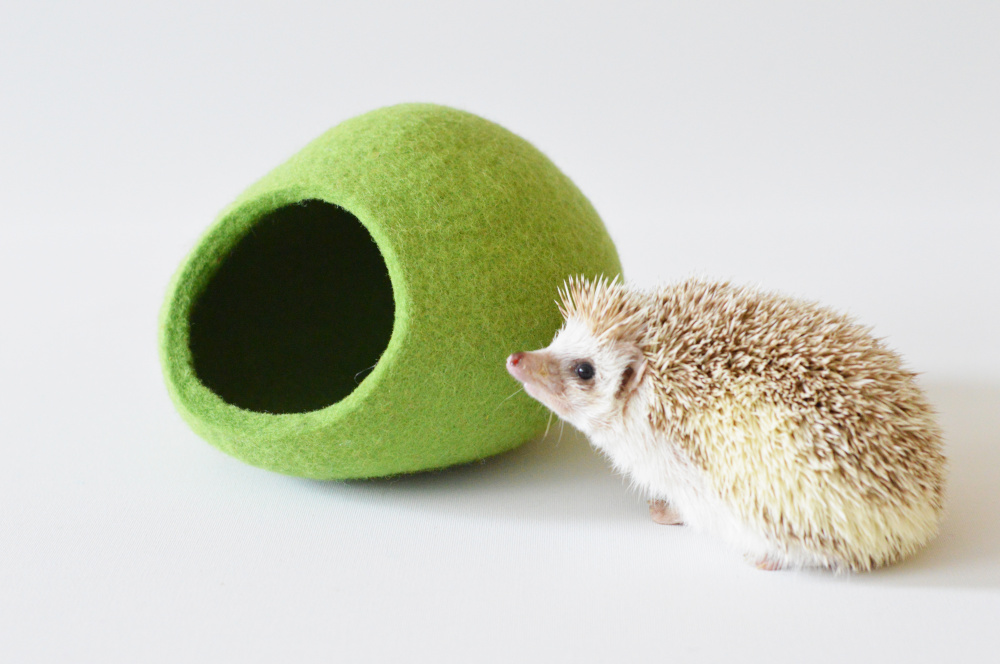 Hedgehog bed made of Tyrolean wool picture no. 3