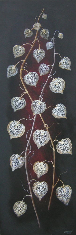 Sidabriniai dumplainiai 30x90