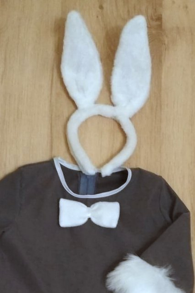 Bunny carnival costume for girls
