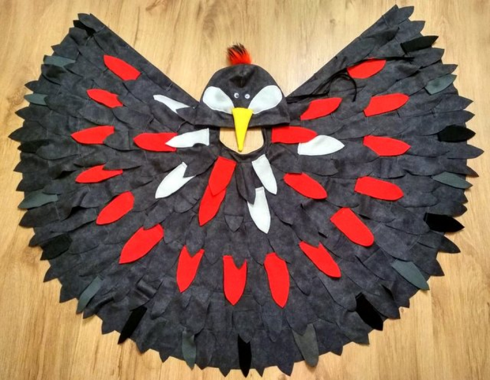 Woodpecker carnival costume for kids picture no. 2