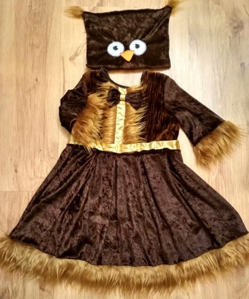 Owl carnival costume for the girl picture no. 2