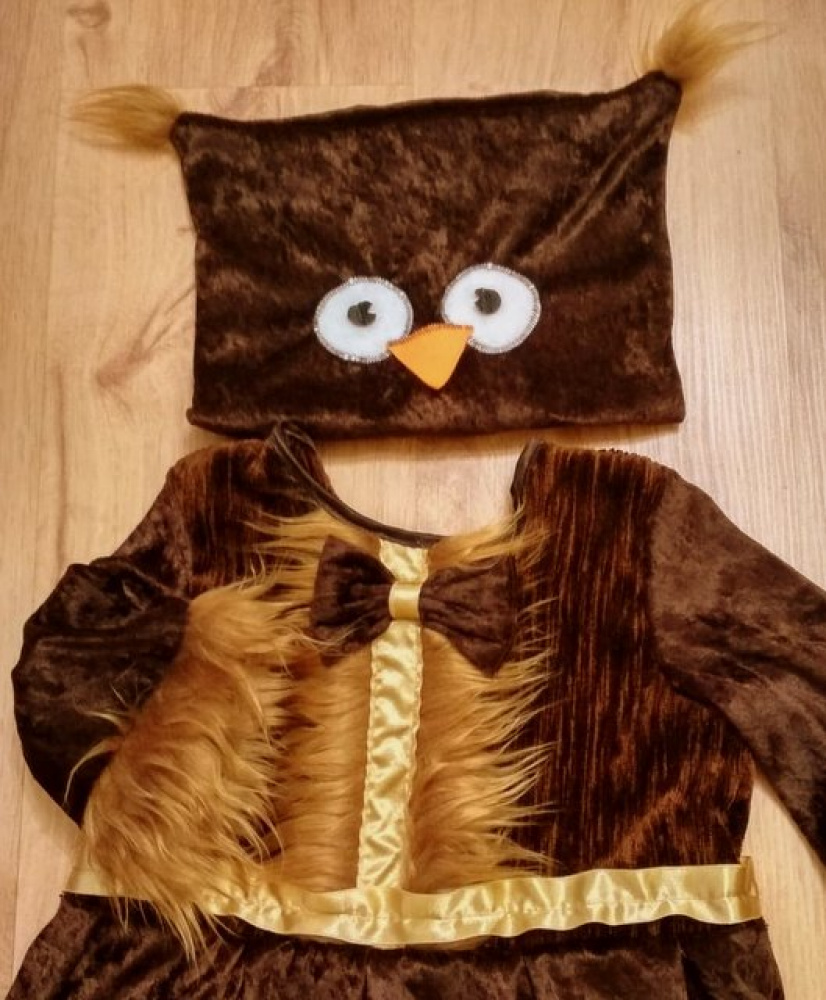 Owl carnival costume for the girl