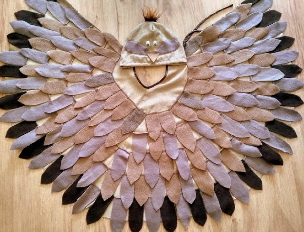 Bird carnival costume for kids