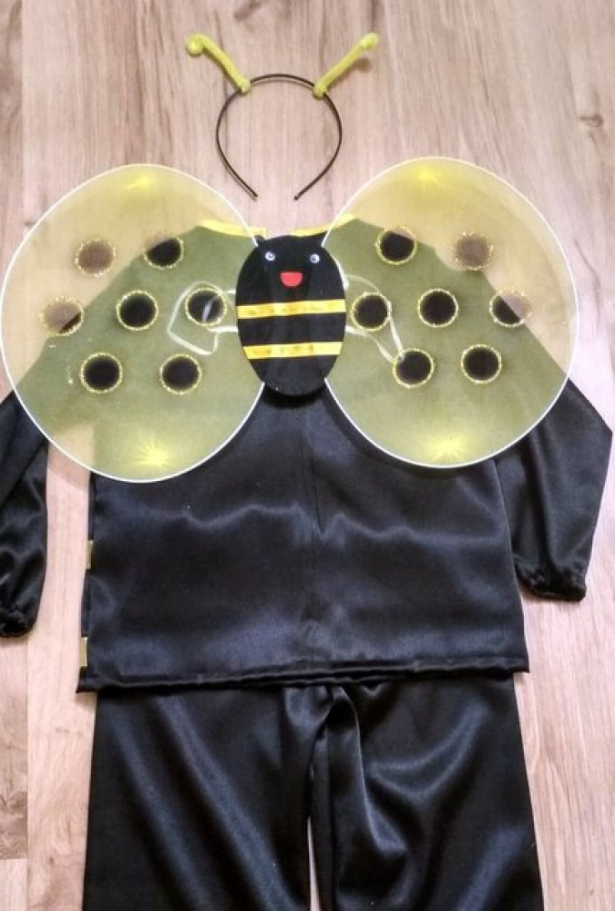 Bee's Carnival Costume picture no. 3