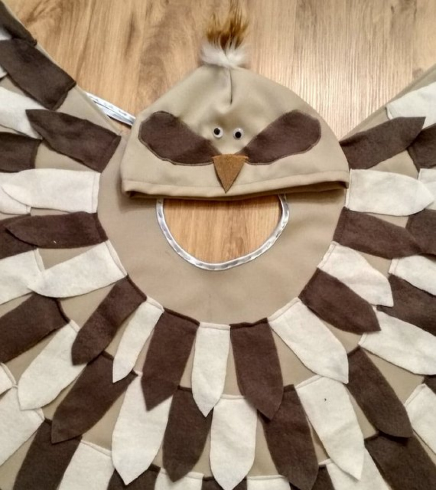 Bird carnival costume for kids