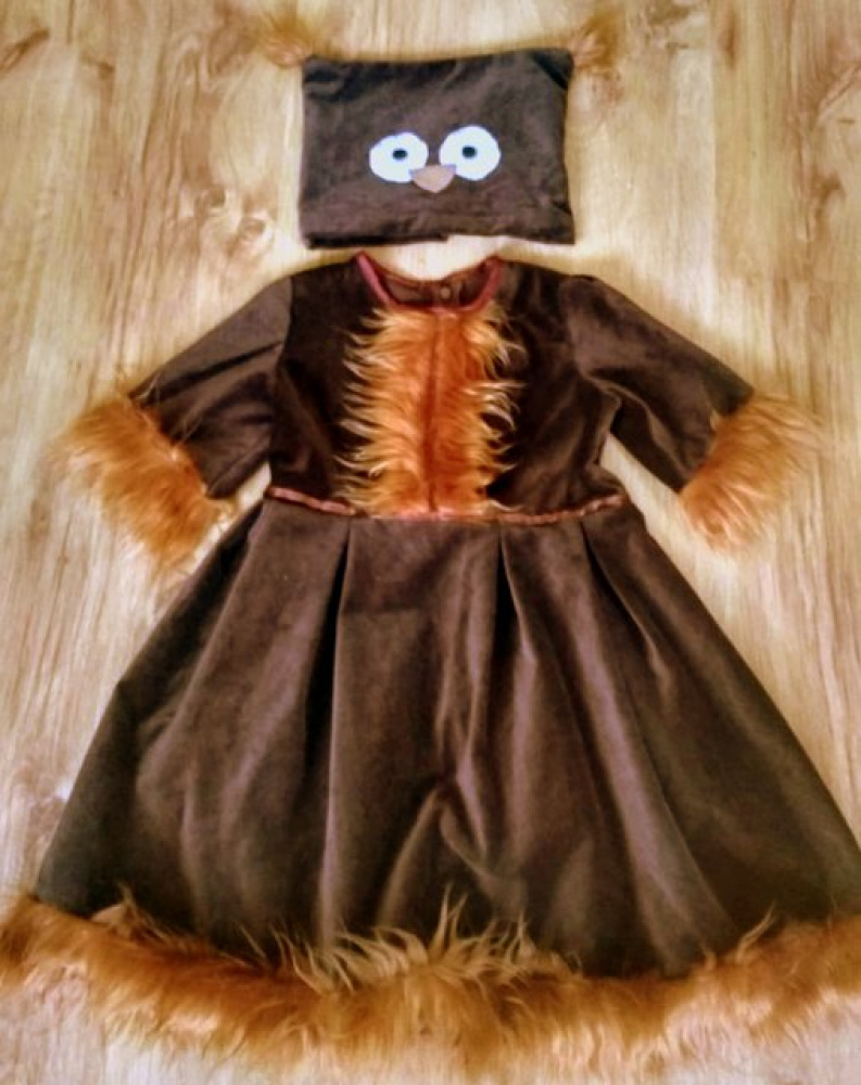 Owl Carnival Costume for Girl