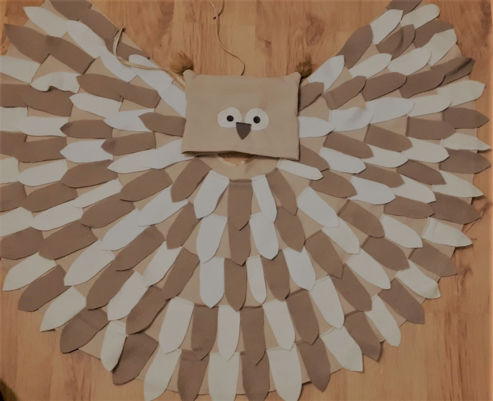 Owls, Bird Kids Carnival Costume